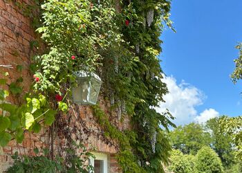 Terrassenblick Aussenbereich Foto © Pia Boni