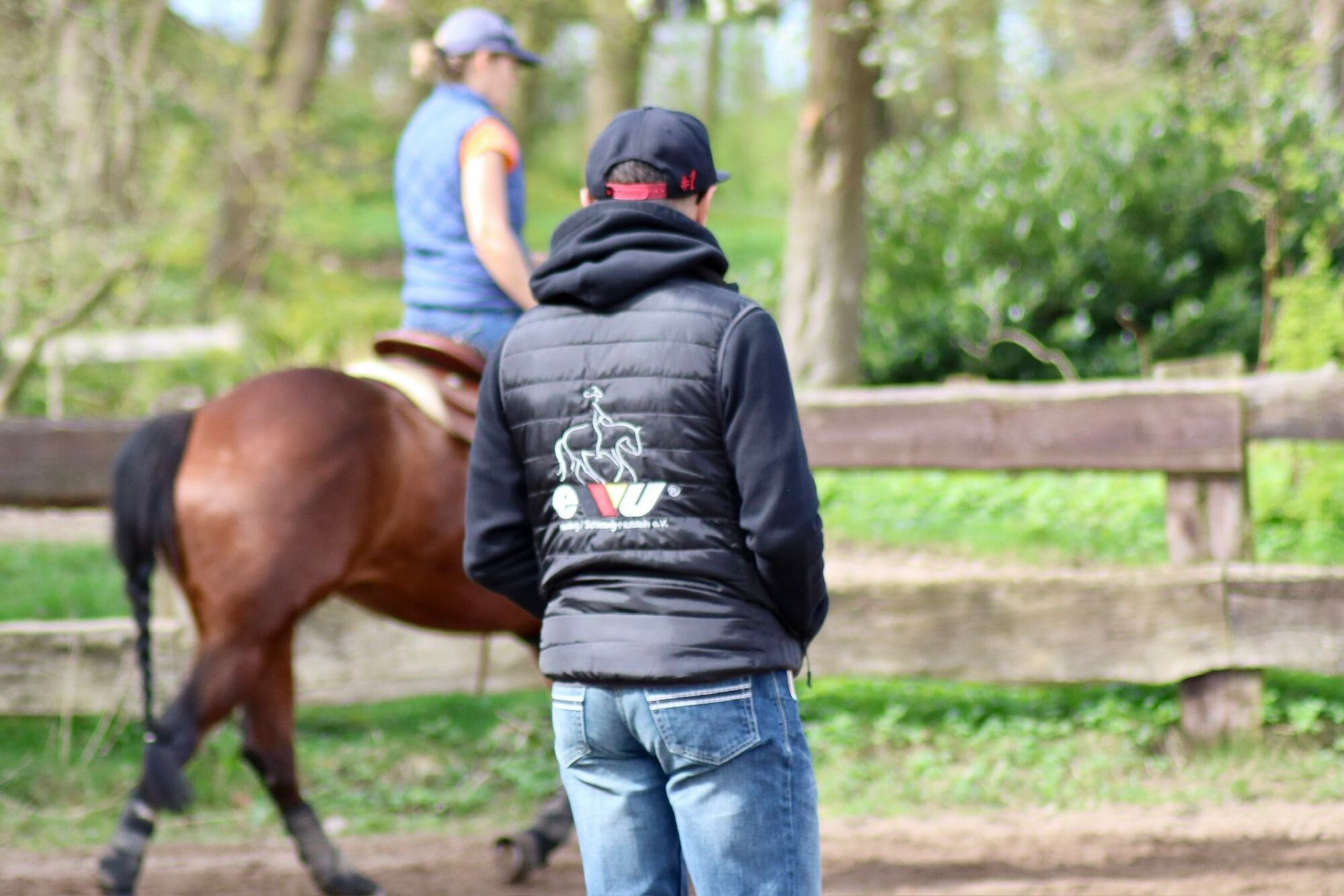 Westerntraining: Reitunterricht mit Markus Bächle auf Gut Dalwitz