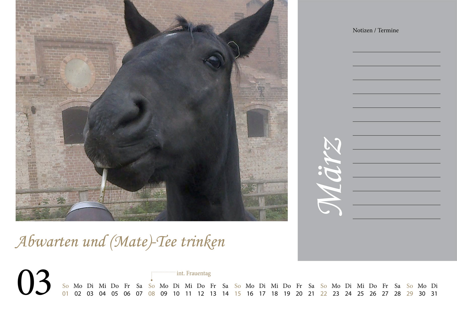 Kalender 2026 Gut Dalwitz - März - Abwarten und (Mate)-Tee trinken