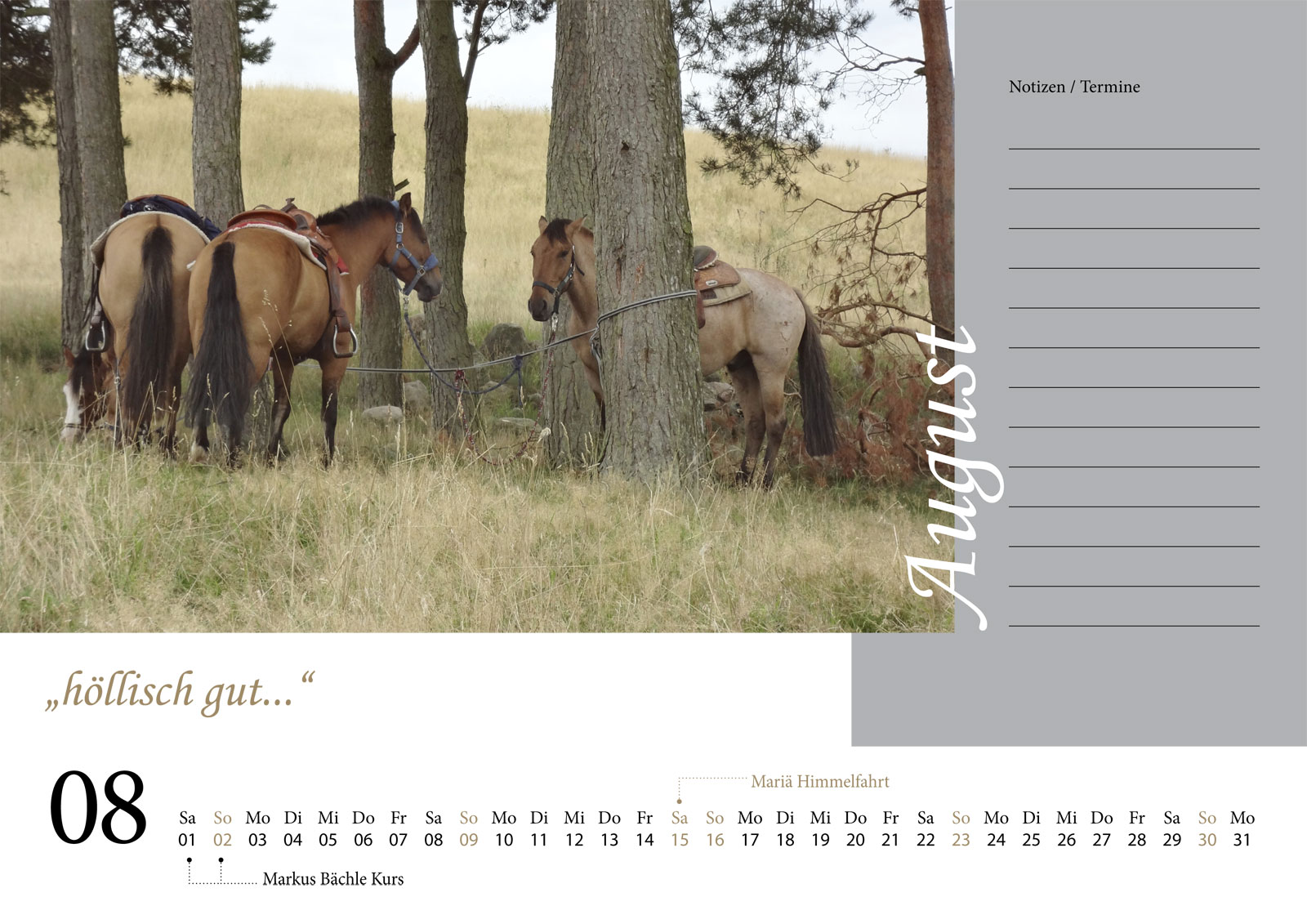 Kalender 2026 Gut Dalwitz - August - höllisch gut ...