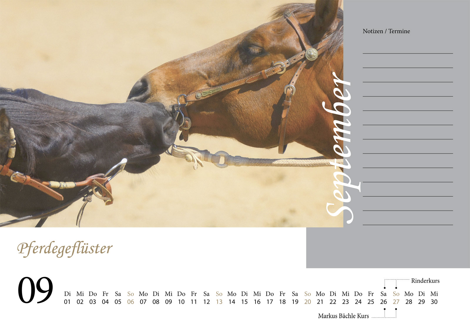 Kalender 2026 Gut Dalwitz - September - Pferdegeflüster